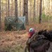 Primos Hunting Double Bull SuuroundView Stakeout Blind